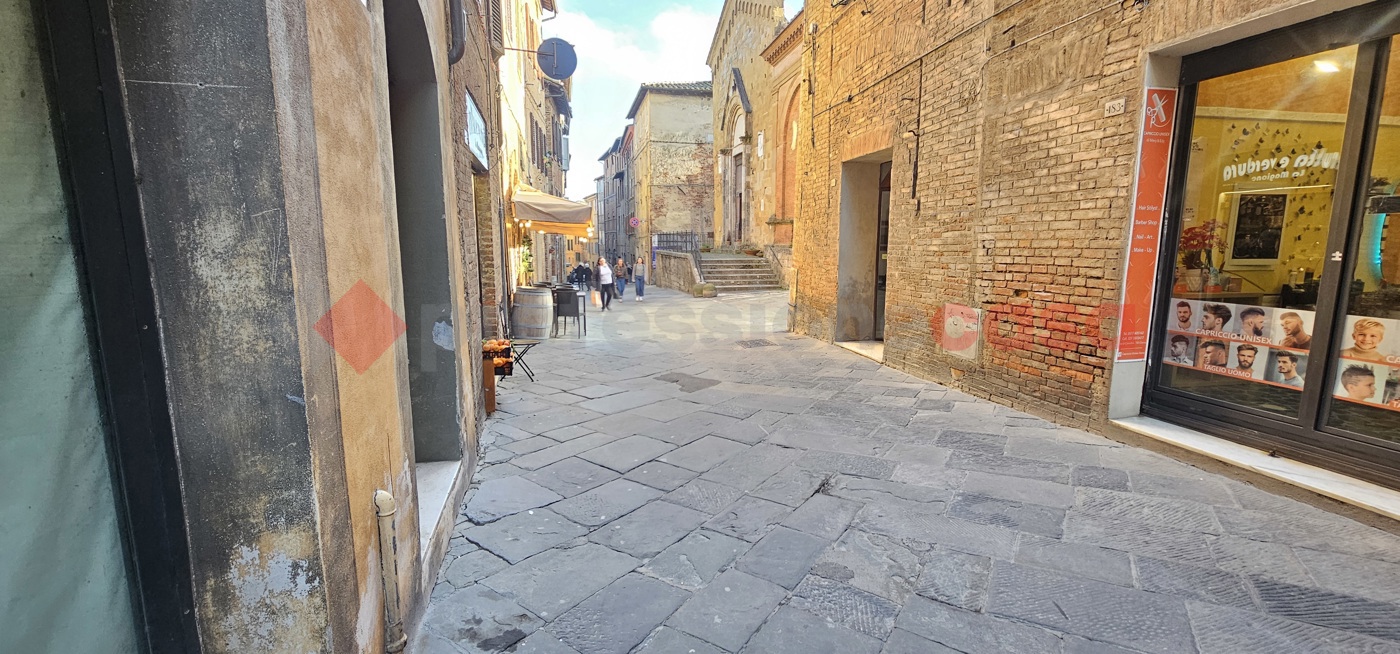 Negozio in affitto a Siena