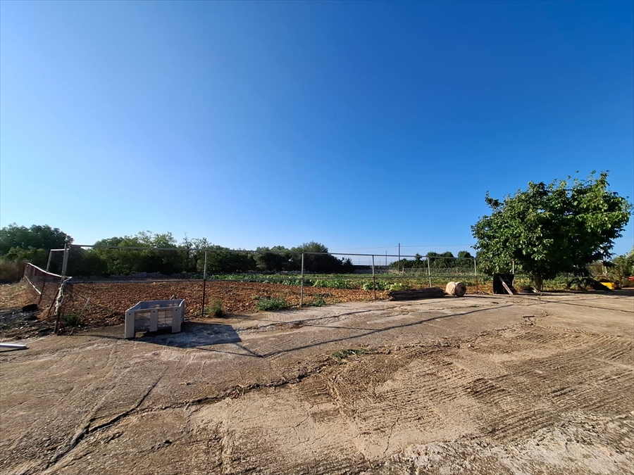 Casa indipendente con giardino in contrada putignano 80, Conversano
