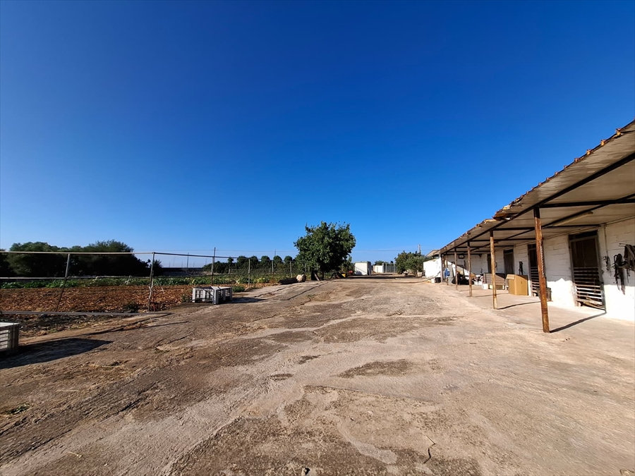 Casa indipendente con giardino in contrada putignano 80, Conversano