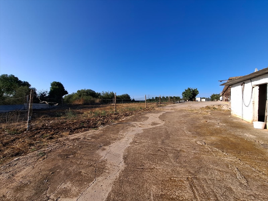 Casa indipendente con giardino in contrada putignano 80, Conversano