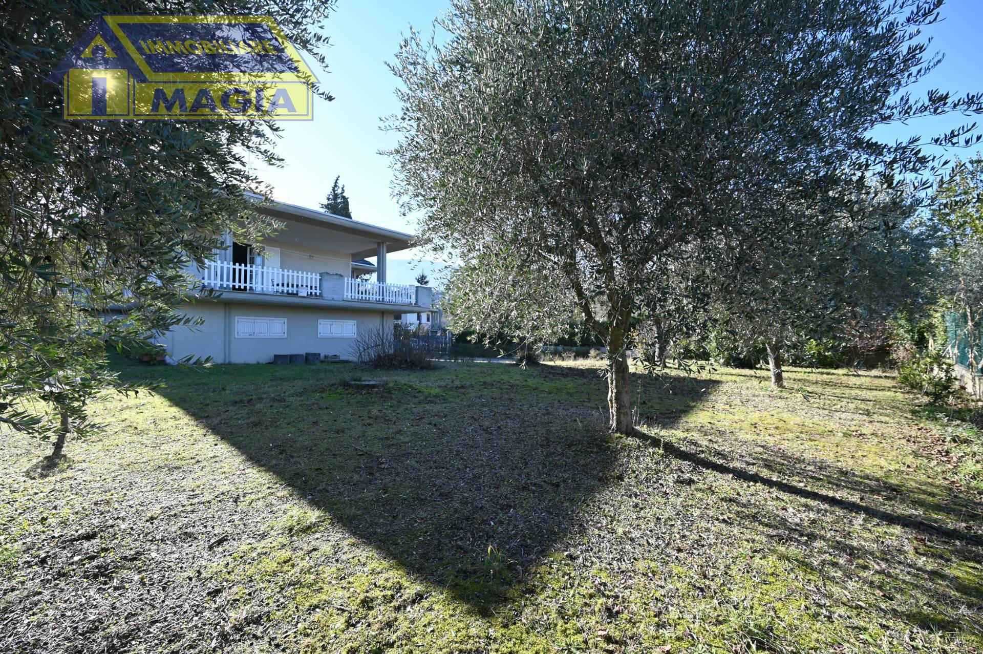 immagine annuncio 4 di 6