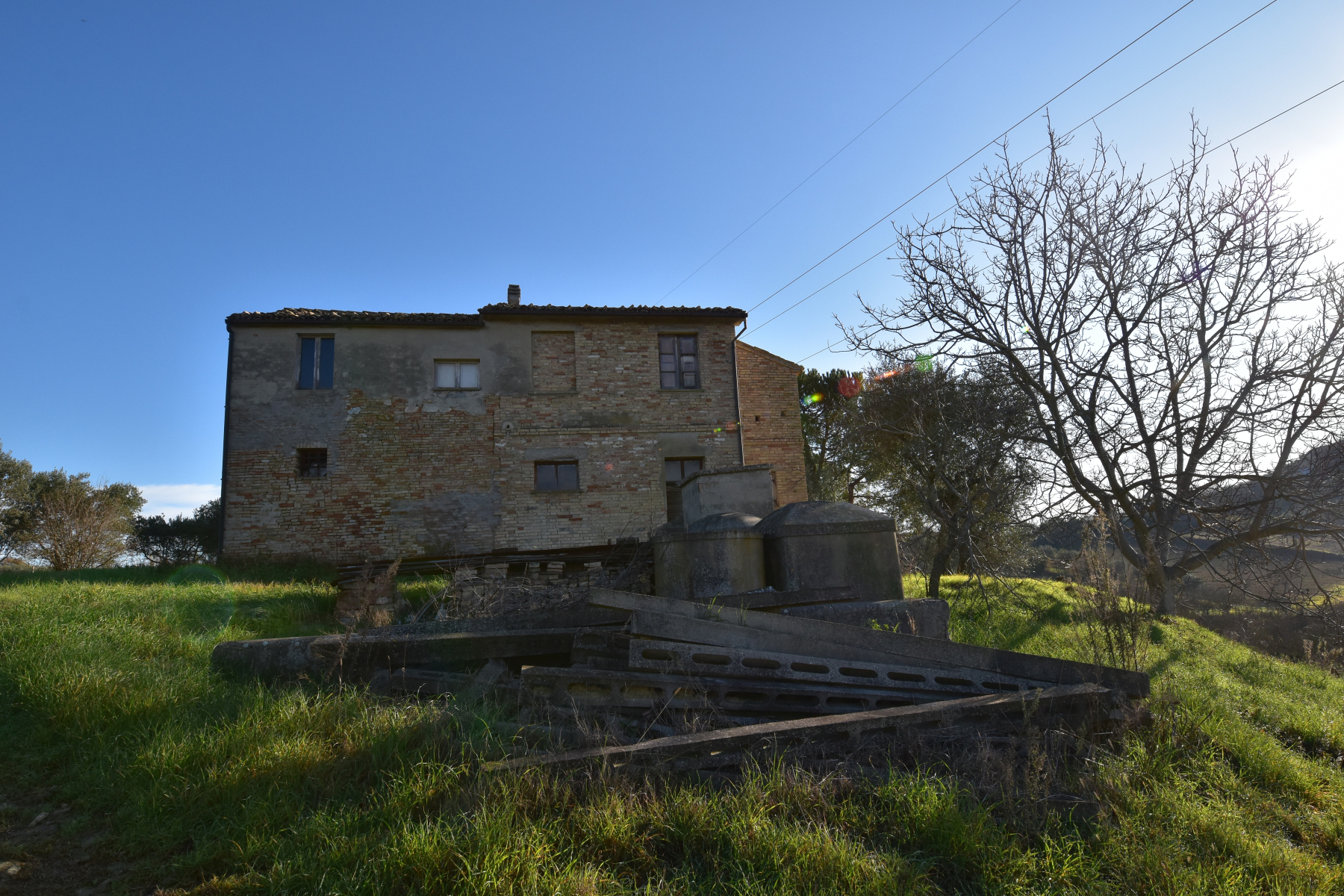 immagine annuncio 5 di 6