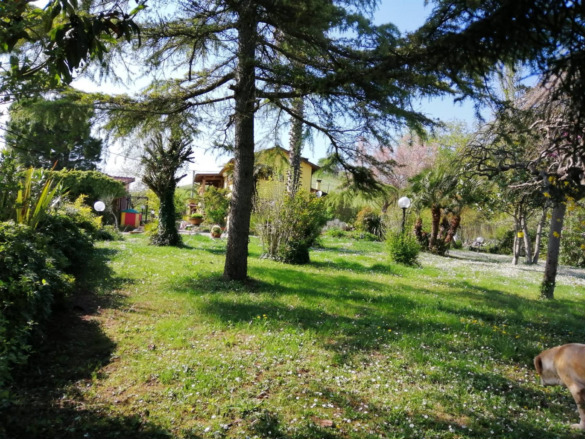 immagine annuncio 4 di 6