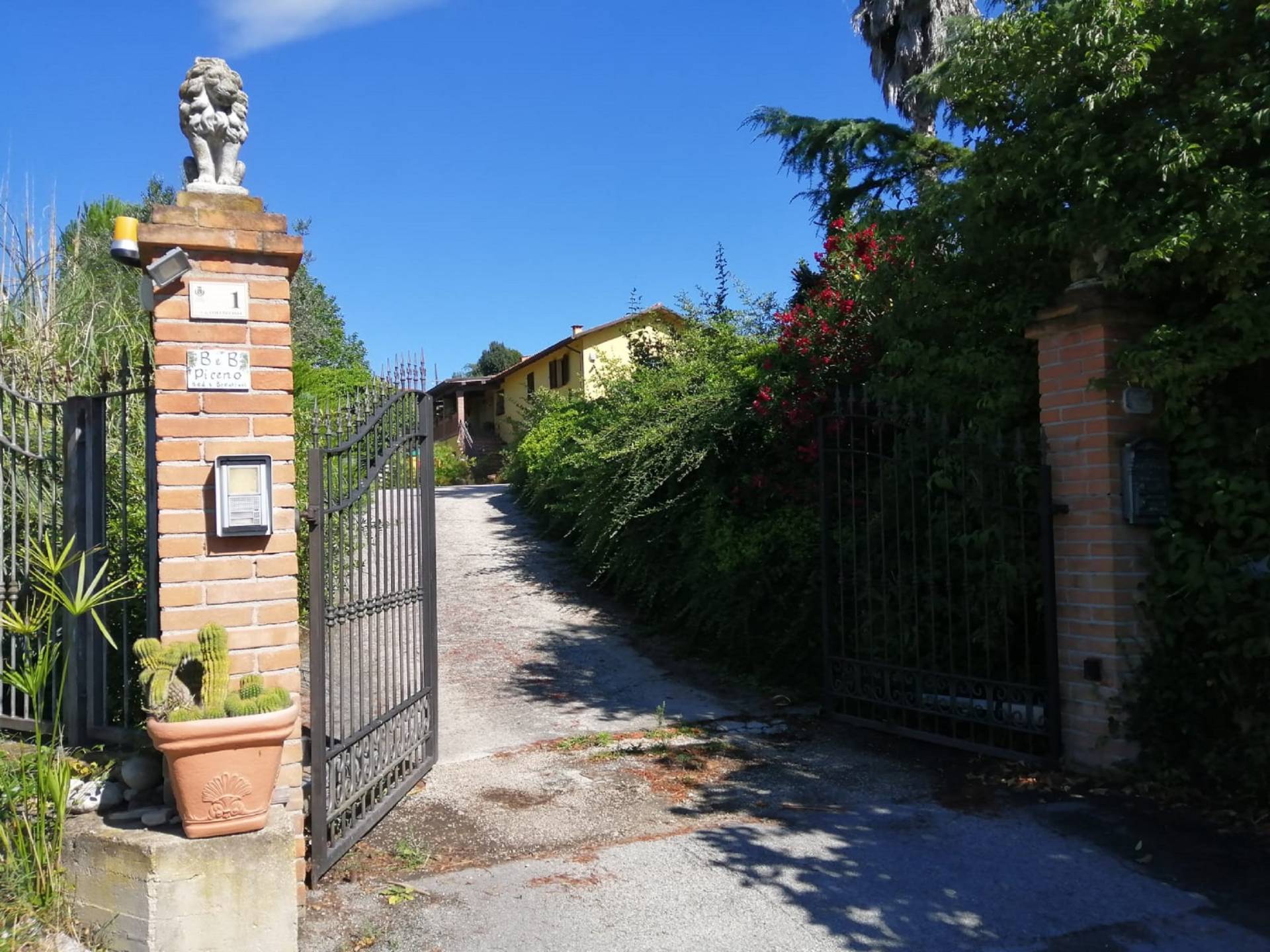 immagine annuncio 5 di 6