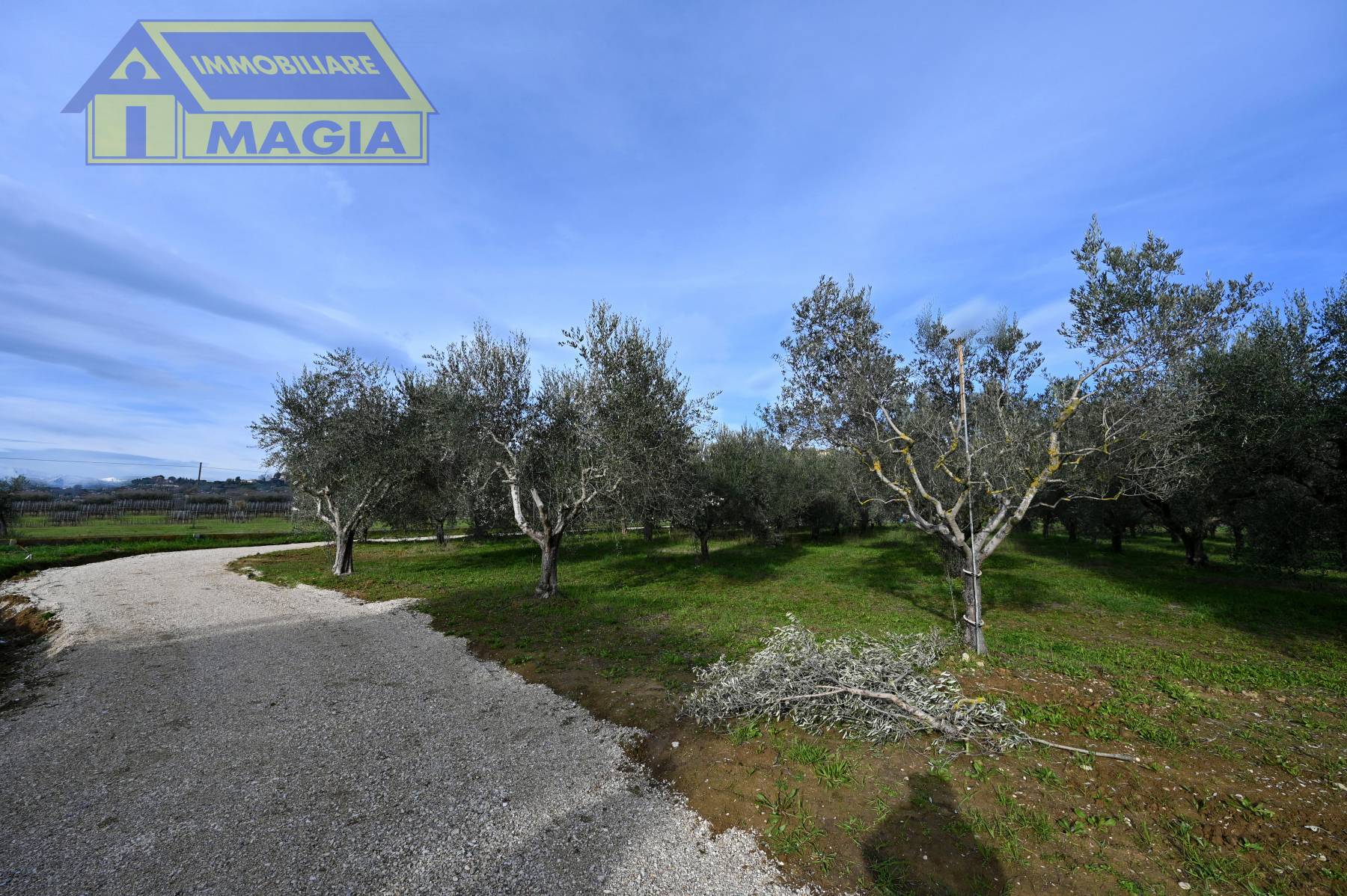 Terreno Agricolo in vendita a Colli del Tronto, Villa San Giusepe