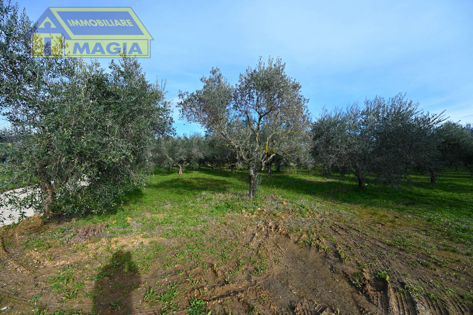 Terreno Agricolo in vendita a Colli del Tronto, Villa San Giusepe