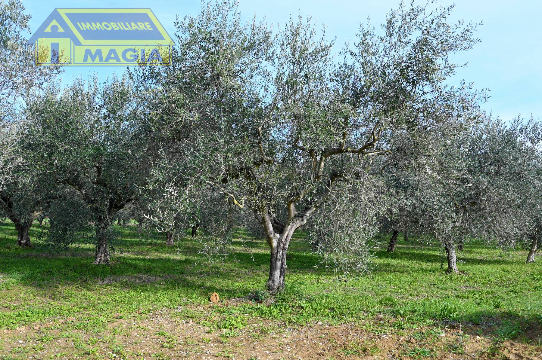 Terreno Agricolo in vendita a Colli del Tronto, Villa San Giusepe