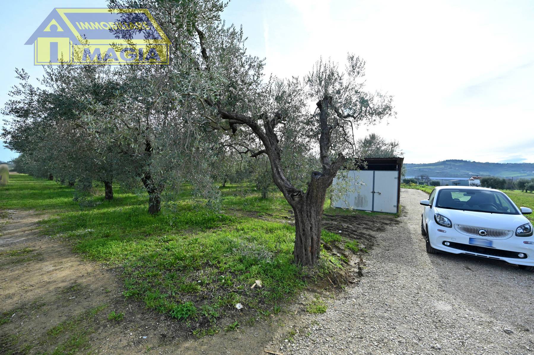 Terreno Agricolo in vendita a Colli del Tronto, Villa San Giusepe
