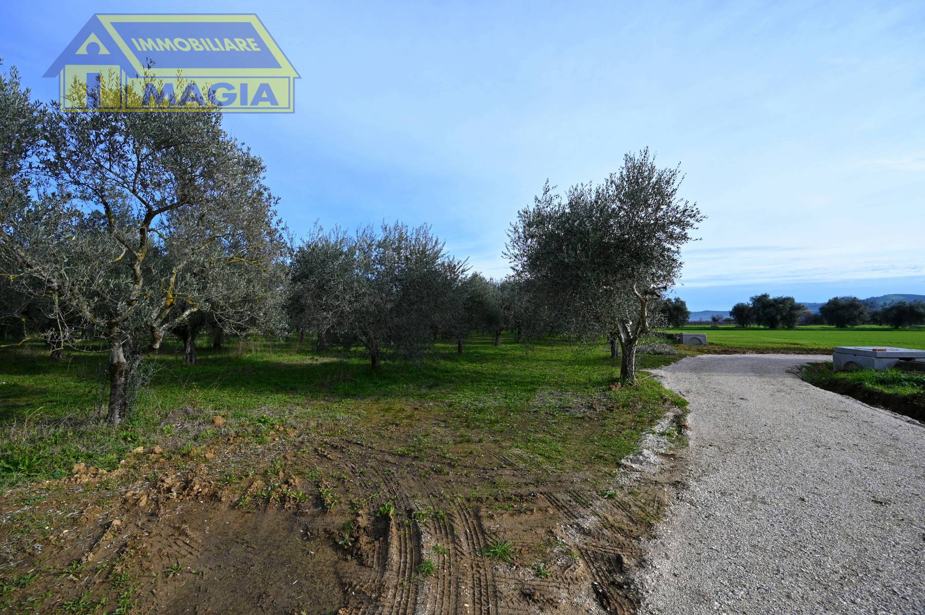 Terreno Agricolo in vendita a Colli del Tronto, Villa San Giusepe