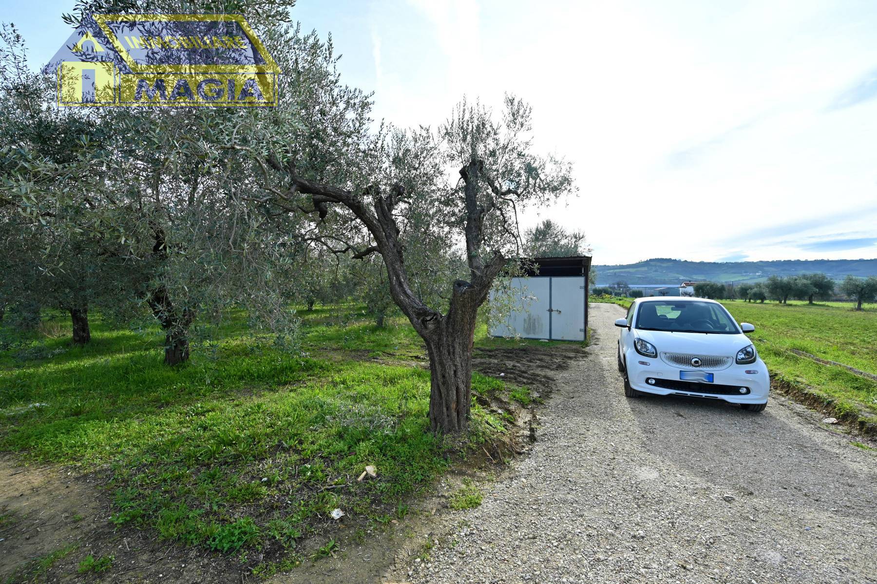 Terreno Agricolo in vendita a Colli del Tronto, Villa San Giusepe