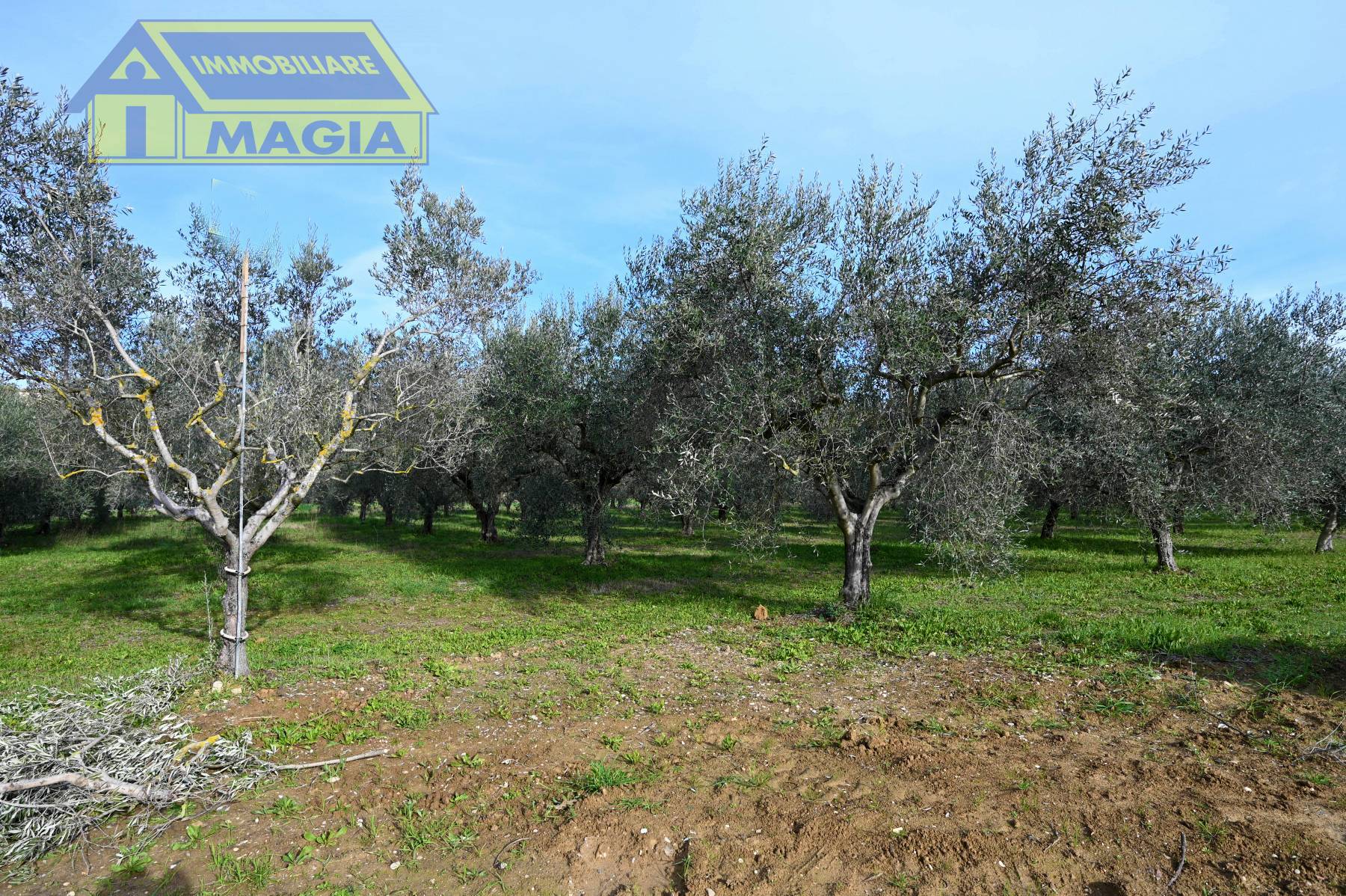 Terreno Agricolo in vendita a Colli del Tronto, Villa San Giusepe