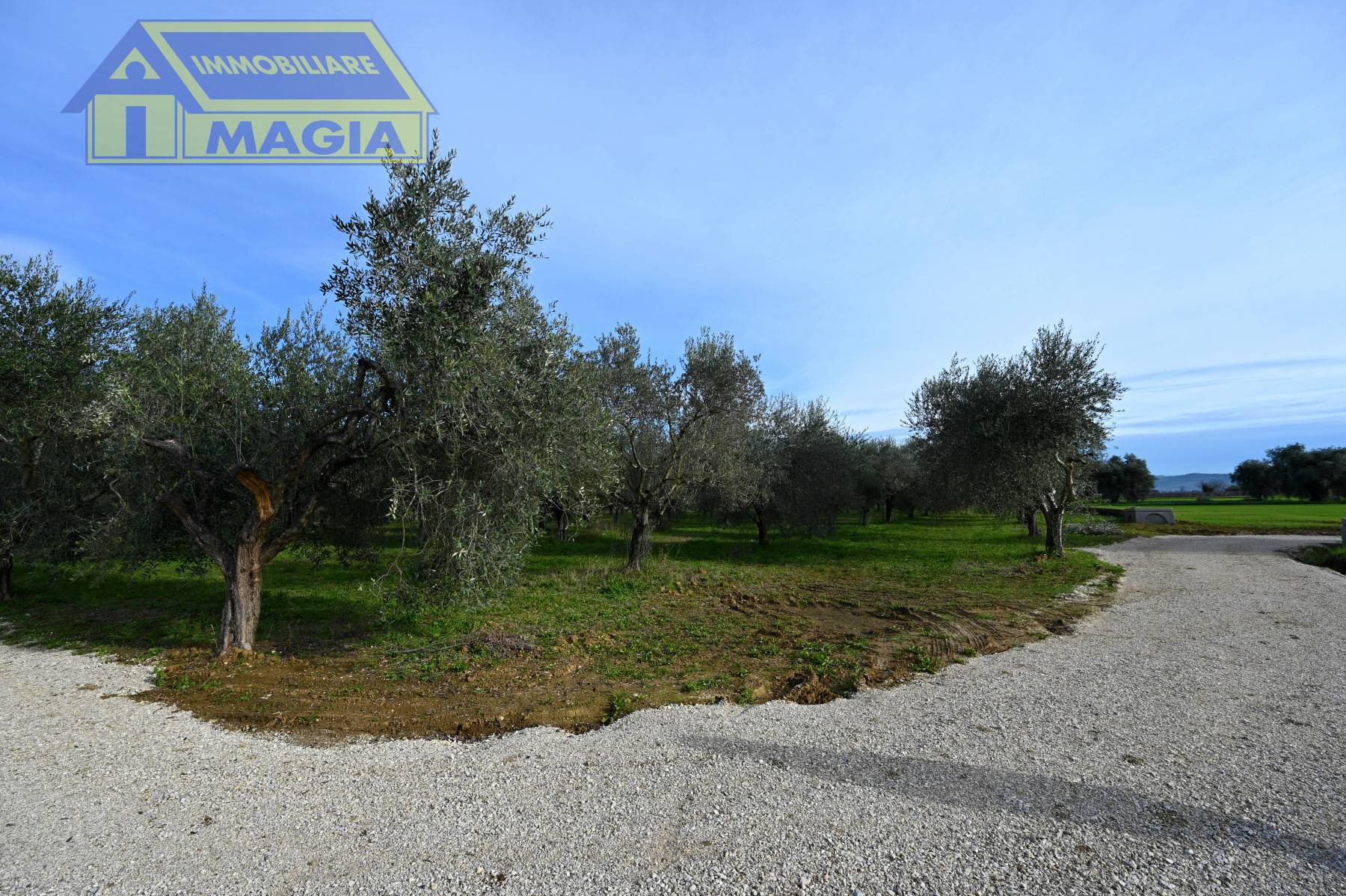 Terreno Agricolo in vendita a Colli del Tronto, Villa San Giusepe
