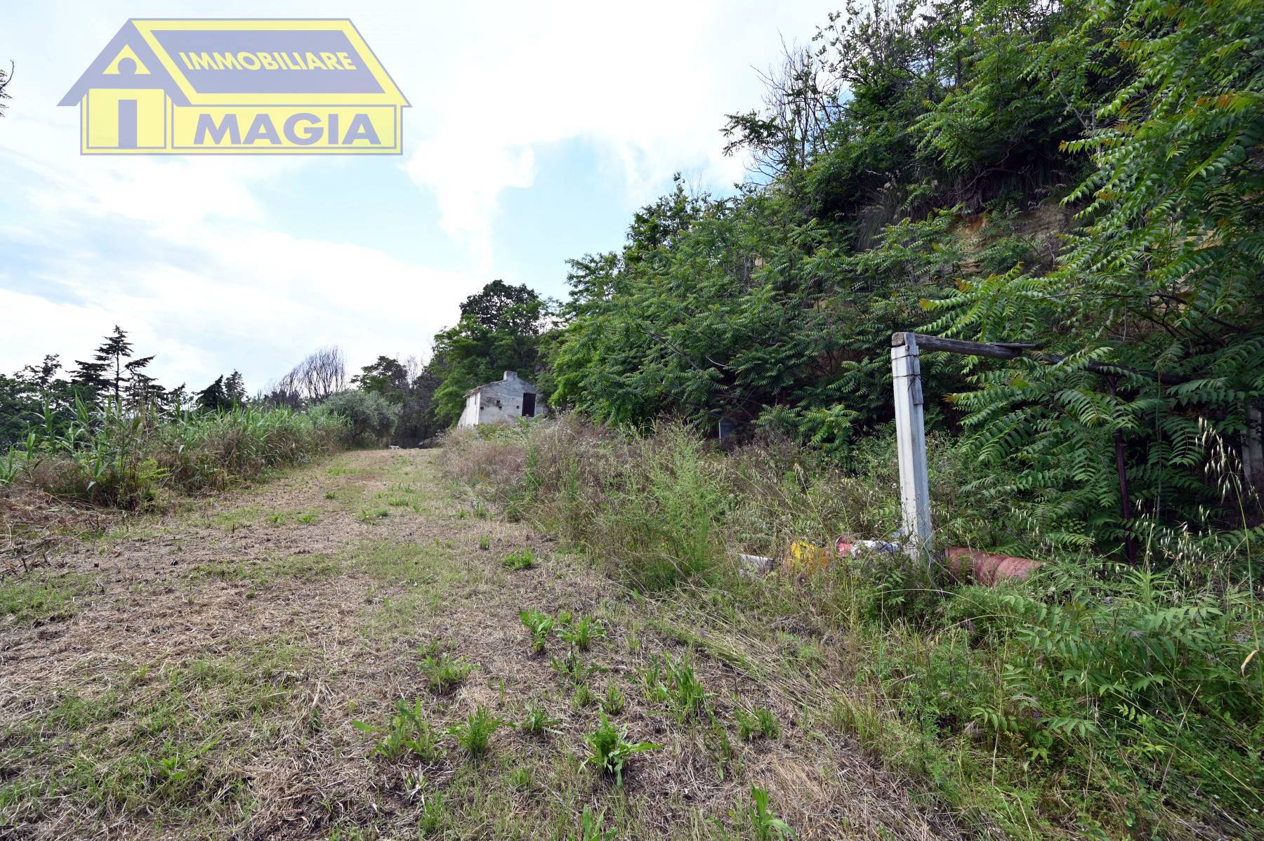 Rustico/Casale in vendita a Montefiore dell'Aso