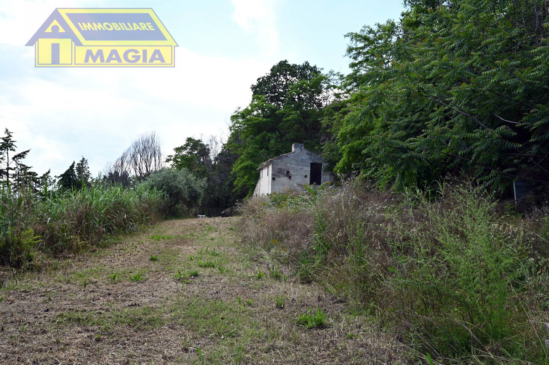 Rustico/Casale in vendita a Montefiore dell'Aso