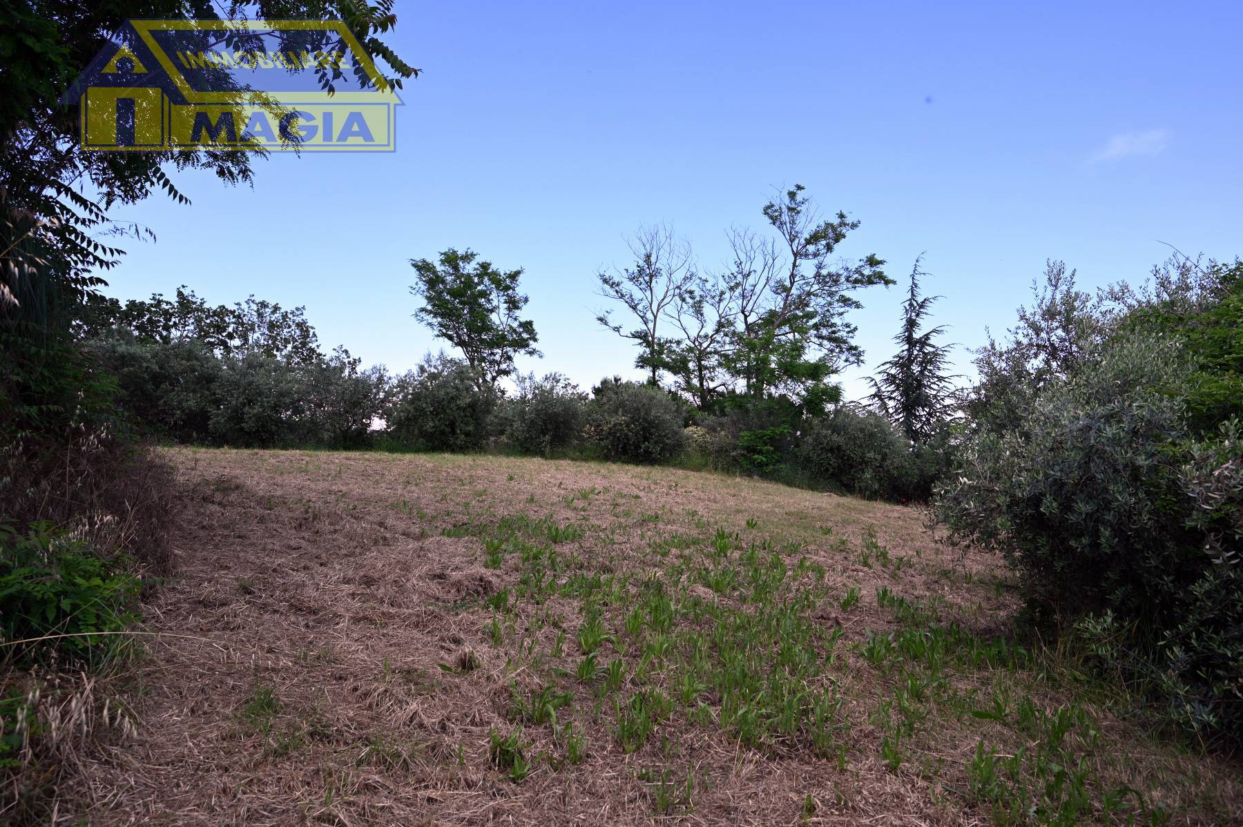 Rustico/Casale in vendita a Montefiore dell'Aso