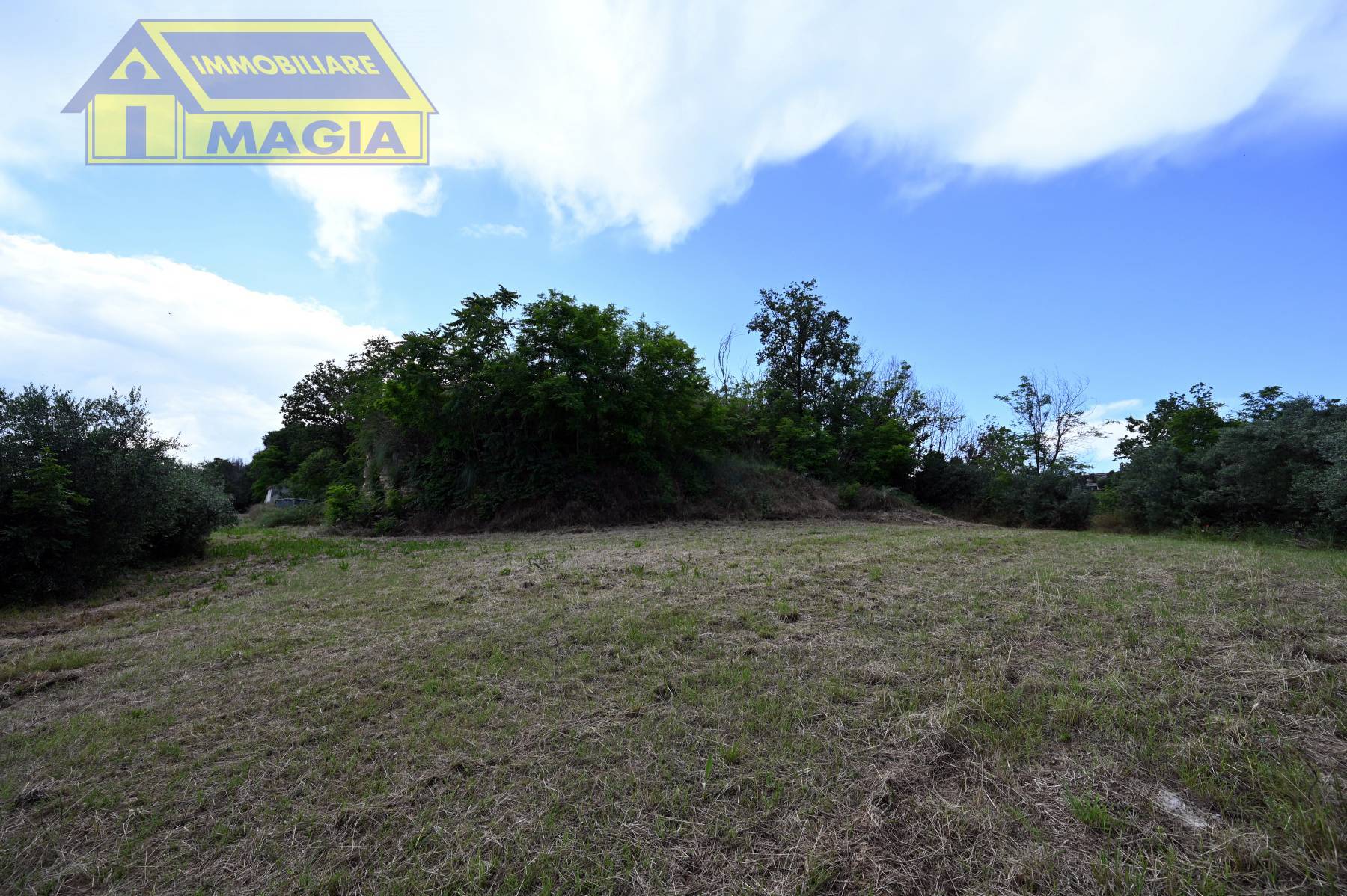 Rustico/Casale in vendita a Montefiore dell'Aso