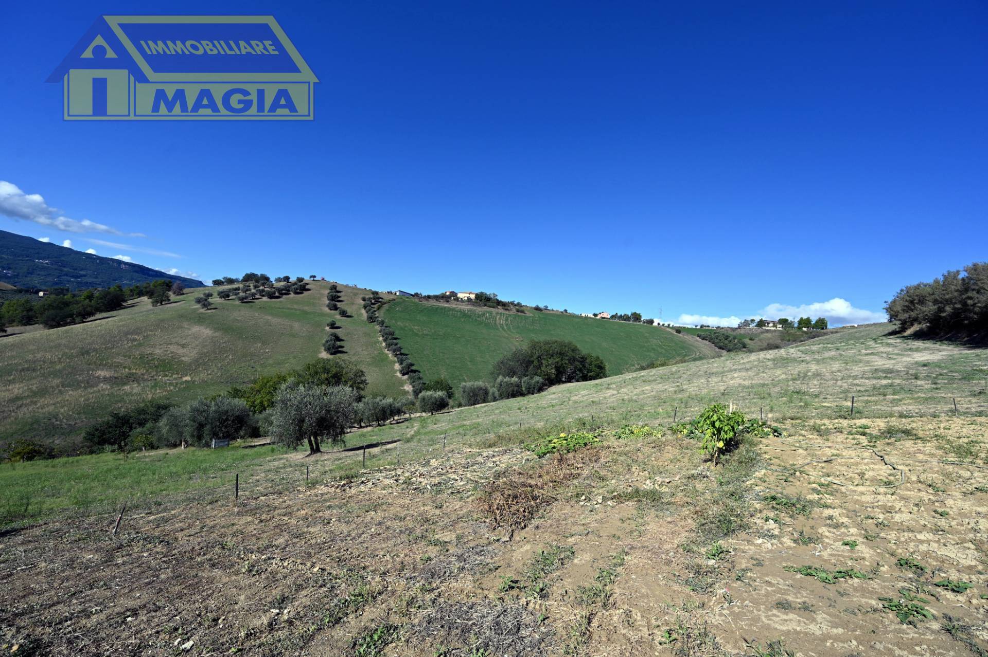 Rustico/Casale in vendita a Ascoli Piceno, Poggio di Bretta