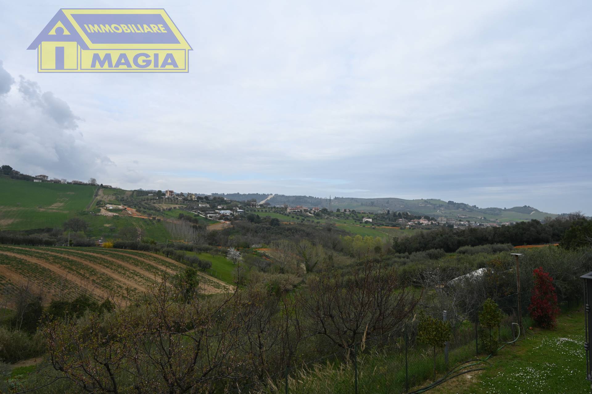 immagine annuncio 9 di 10