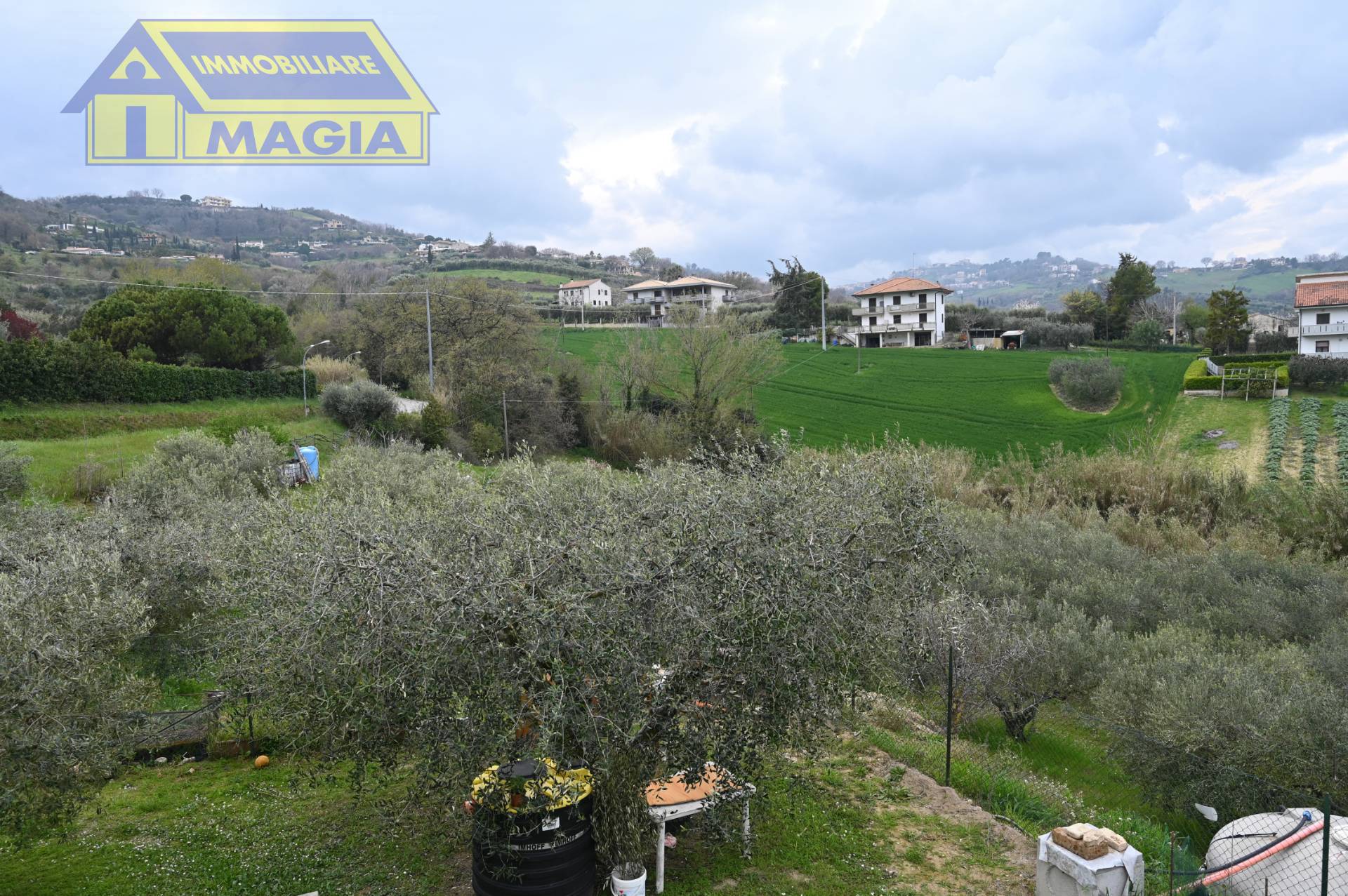 immagine annuncio 1 di 10