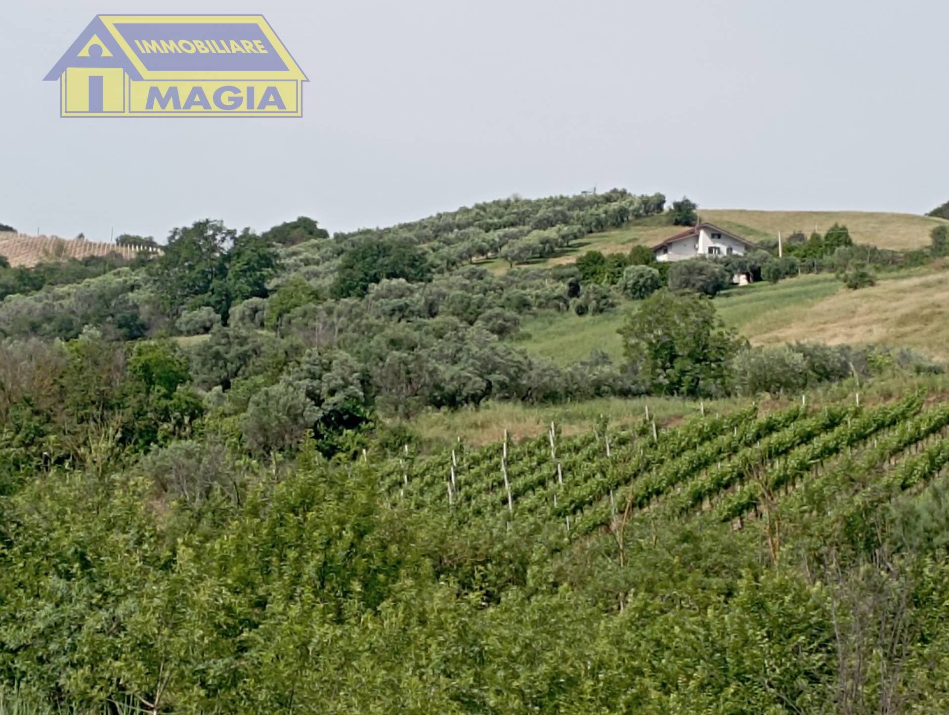 Terreno Agricolo in vendita a Ancarano
