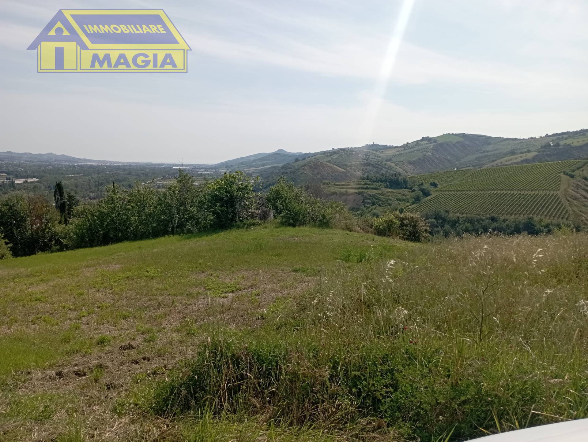 immagine annuncio 1 di 9