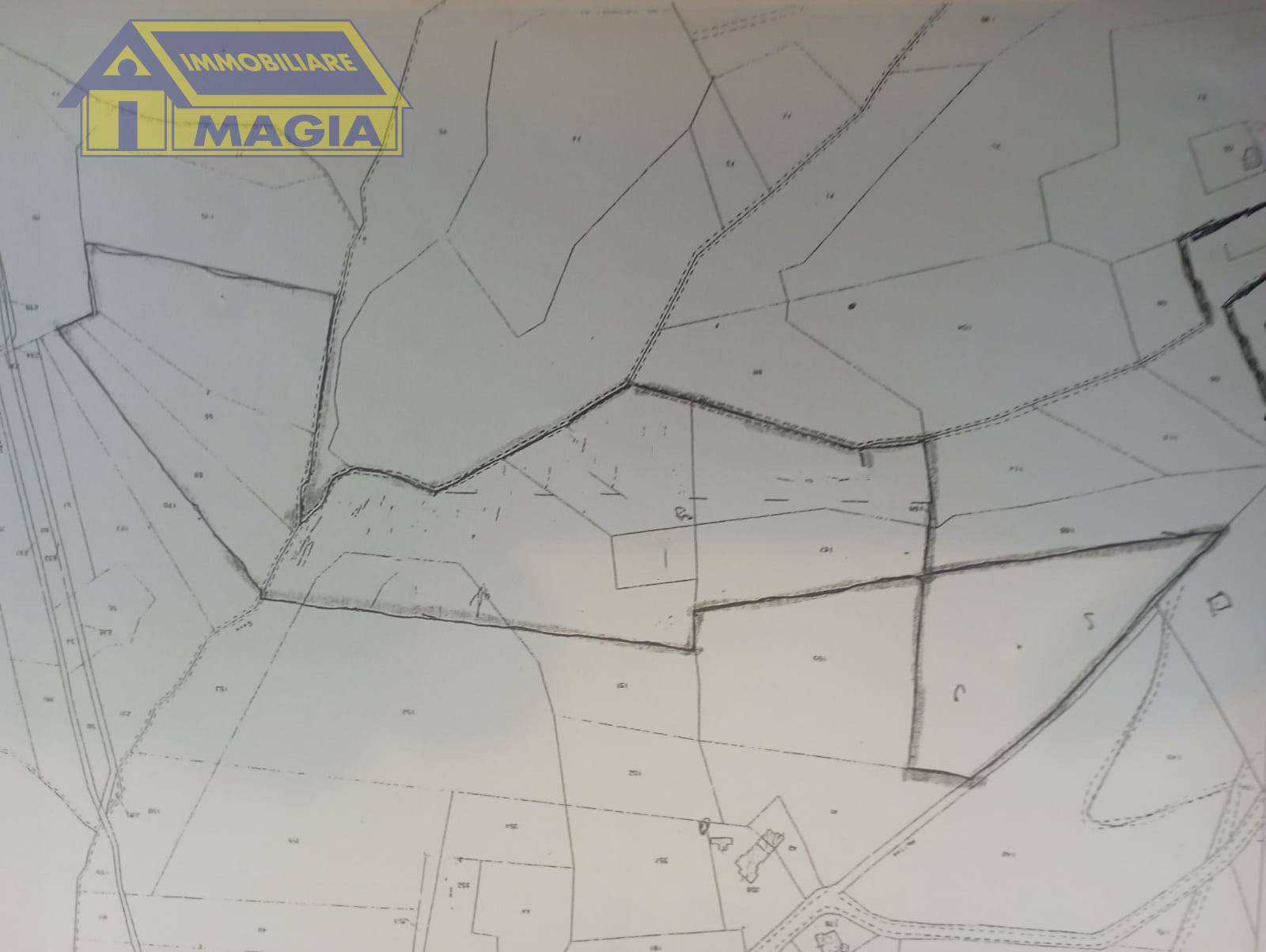 immagine annuncio 8 di 9