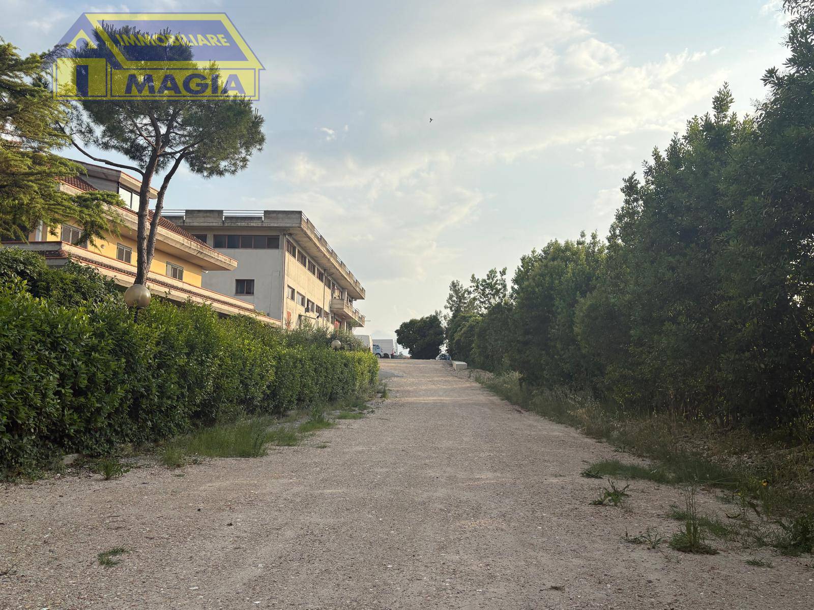 immagine annuncio 3 di 6