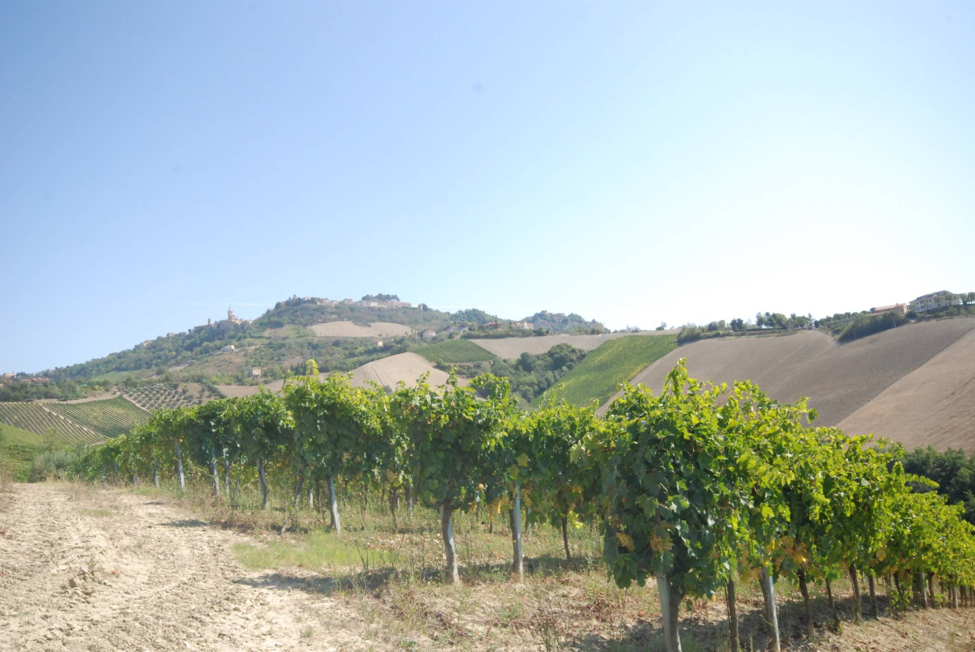 Rustico/Casale in vendita a Ripatransone