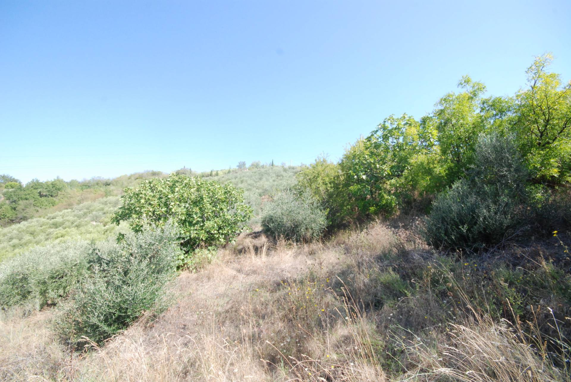 Rustico/Casale in vendita a Ripatransone