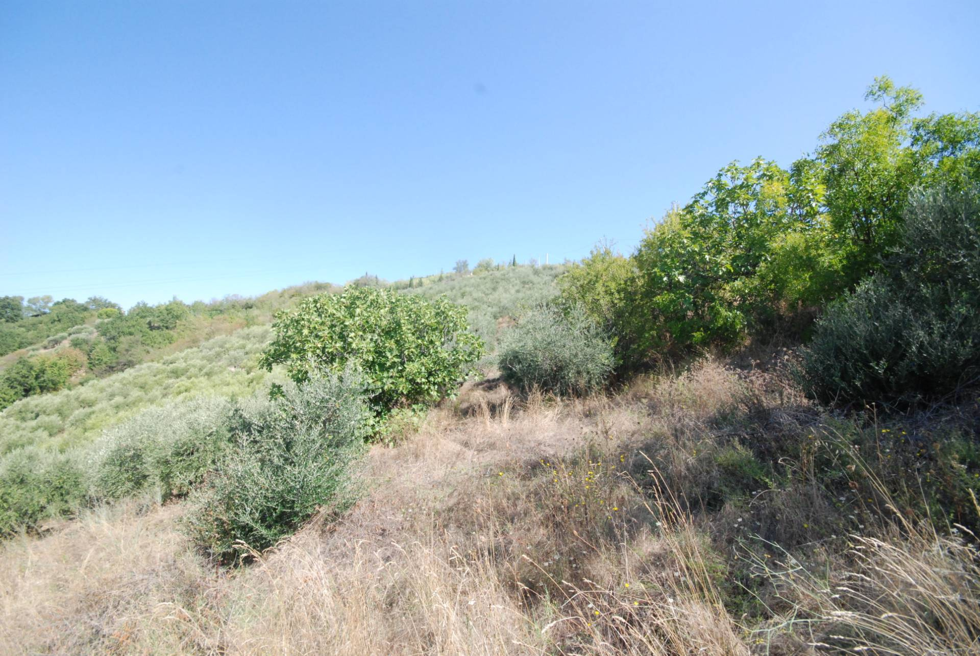 Rustico/Casale in vendita a Ripatransone