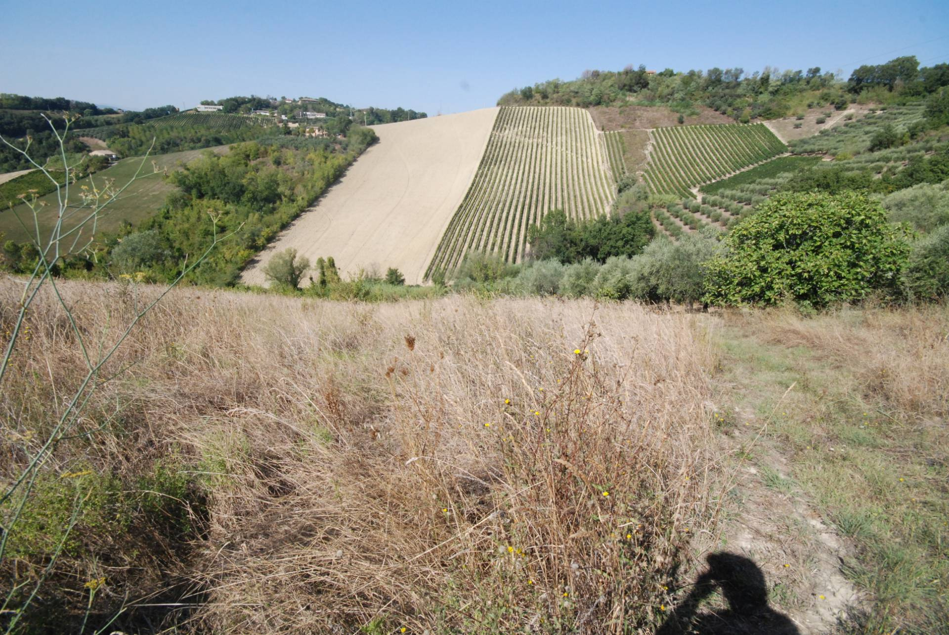 Rustico/Casale in vendita a Ripatransone