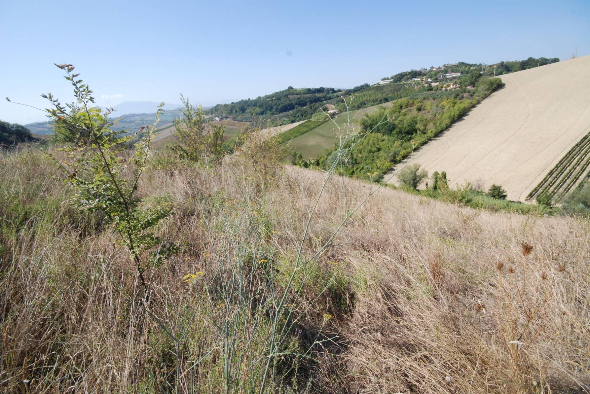 Rustico/Casale in vendita a Ripatransone