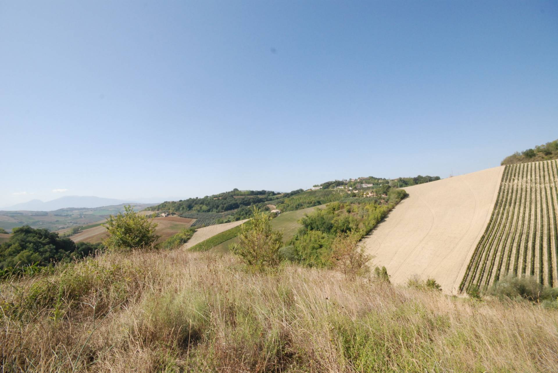 Rustico/Casale in vendita a Ripatransone