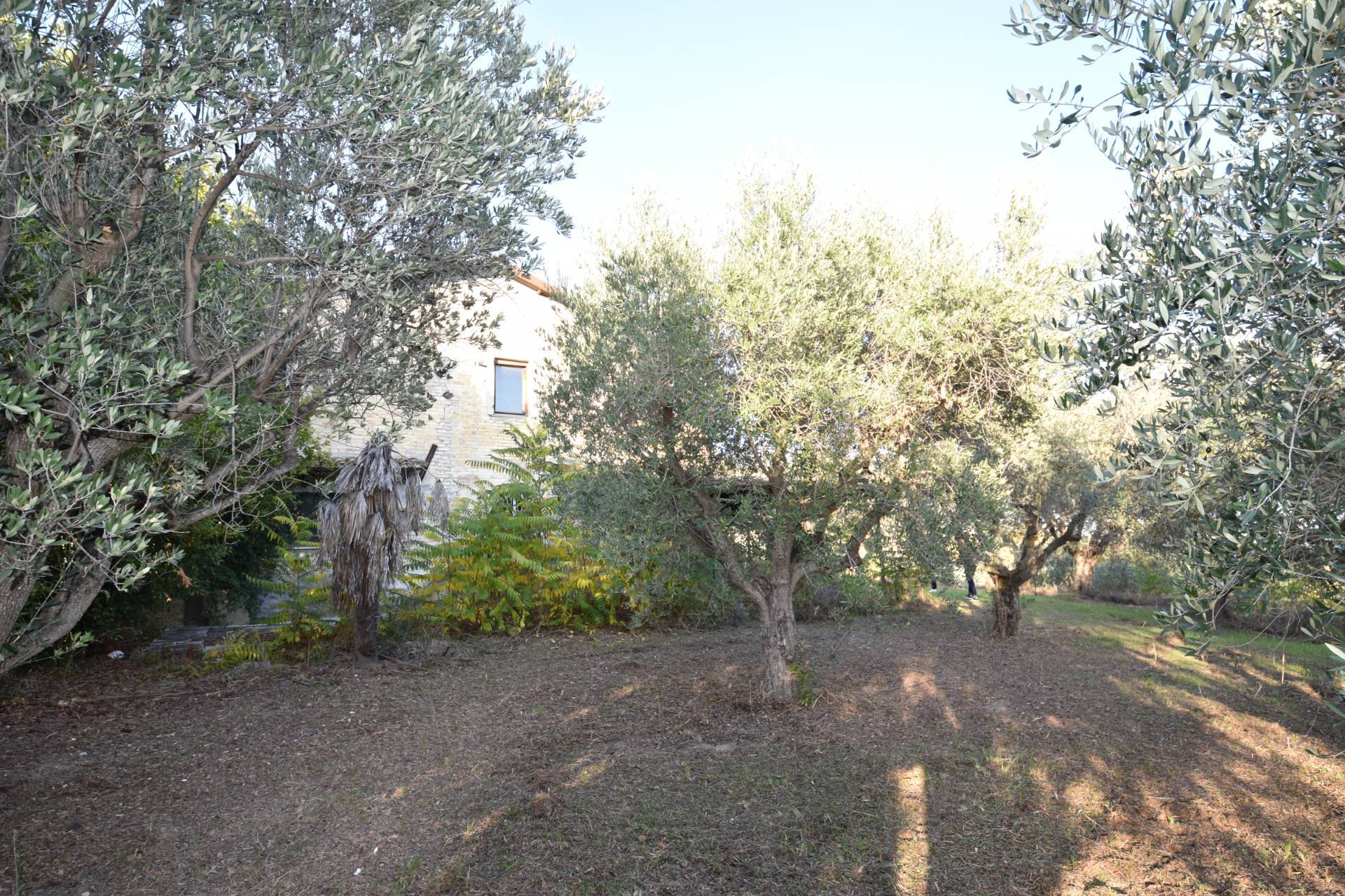 Rustico/Casale in vendita a San Benedetto del Tronto, Porto d'Ascoli