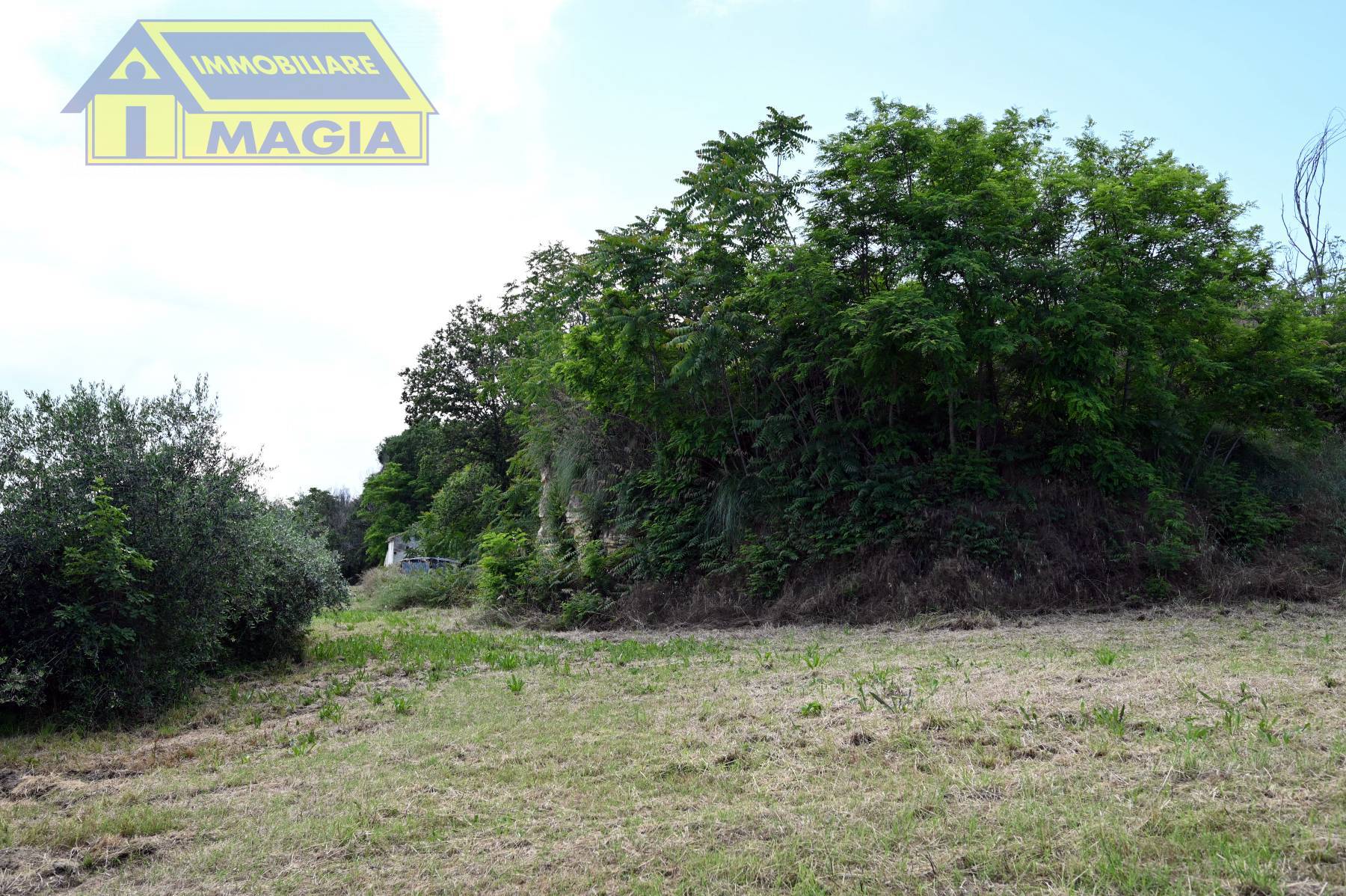 Rustico/Casale in vendita a Montefiore dell'Aso