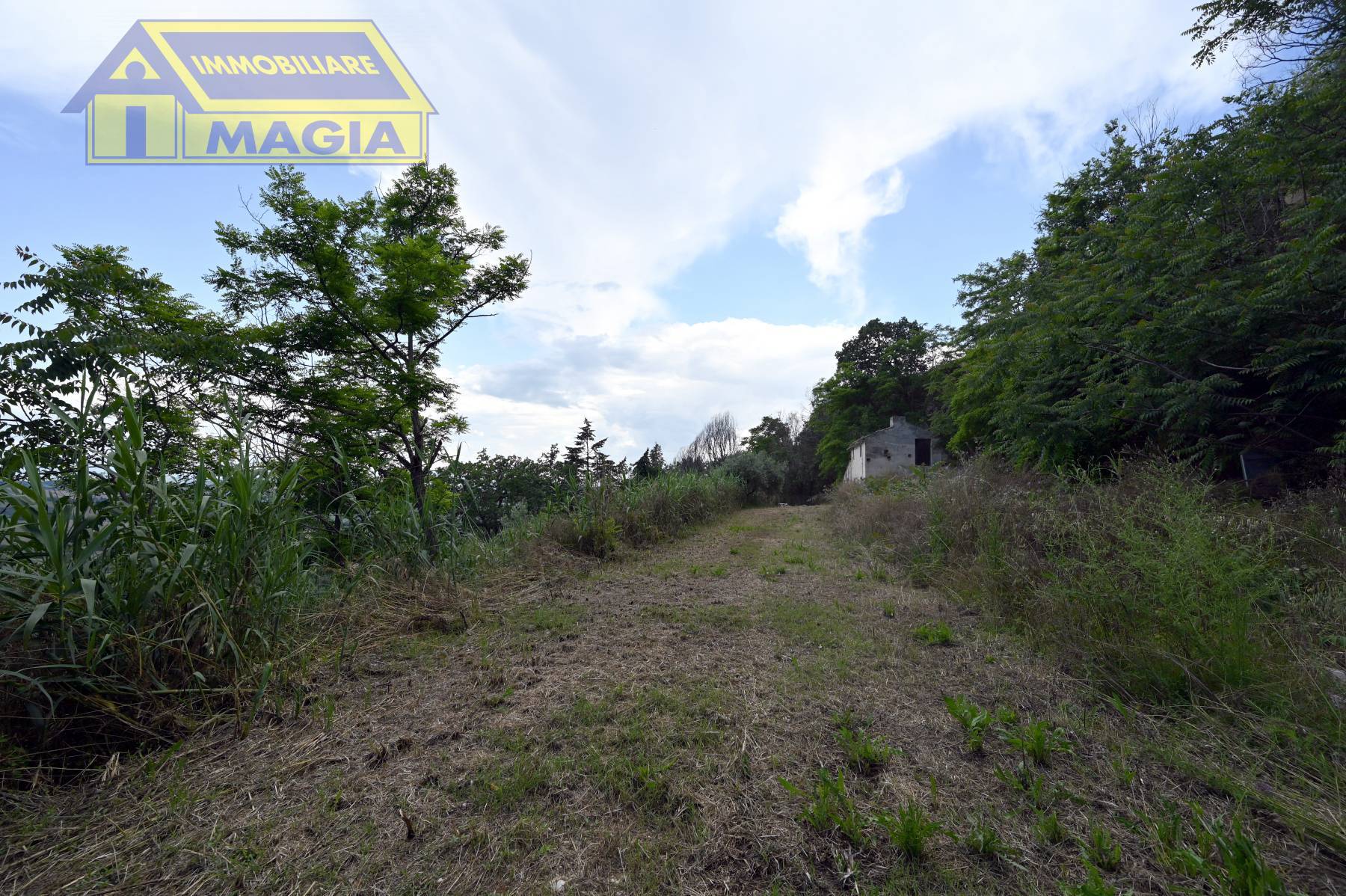 Rustico/Casale in vendita a Montefiore dell'Aso