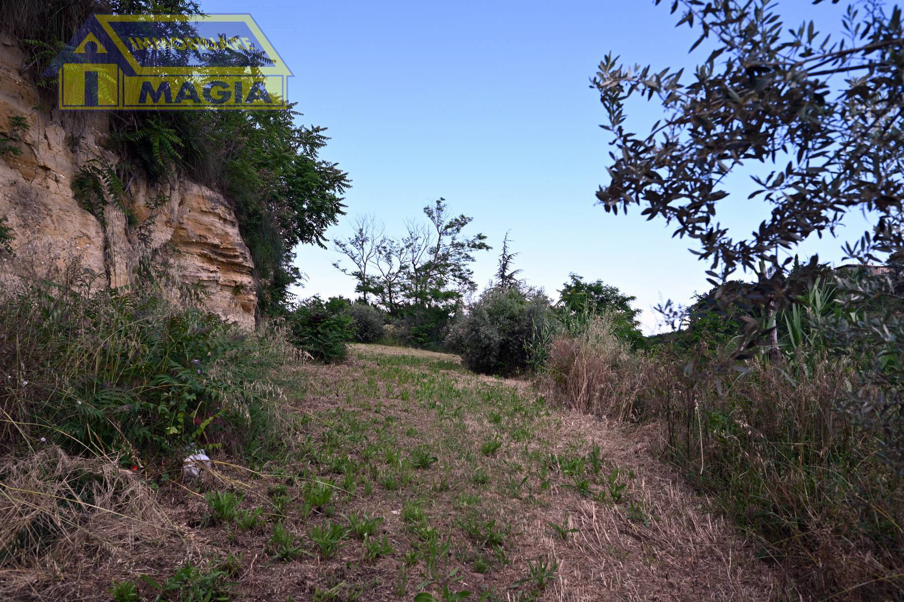 Rustico/Casale in vendita a Montefiore dell'Aso