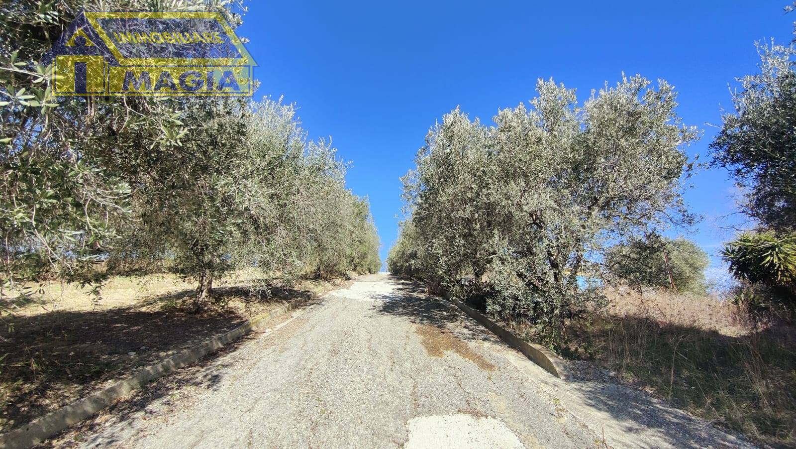 immagine annuncio 2 di 6