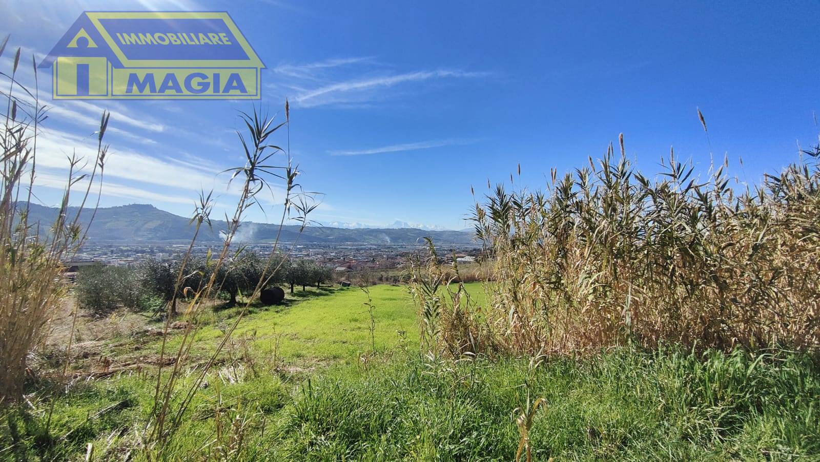 immagine annuncio 4 di 6