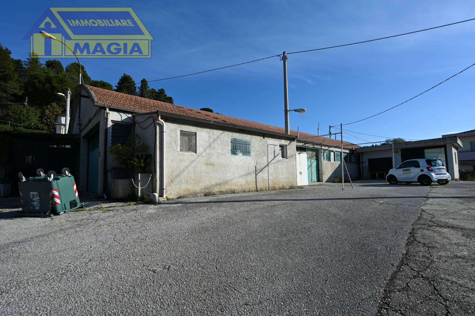 immagine annuncio 2 di 7