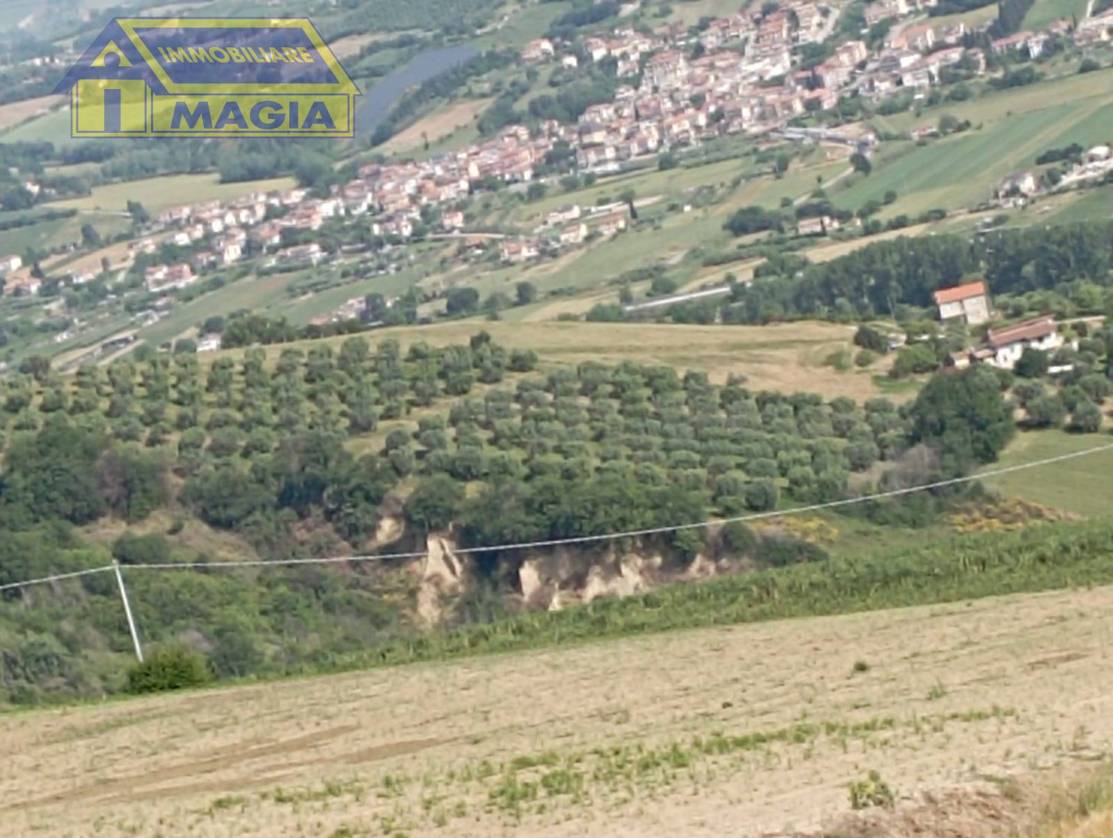 Terreno Agricolo in vendita a Ancarano