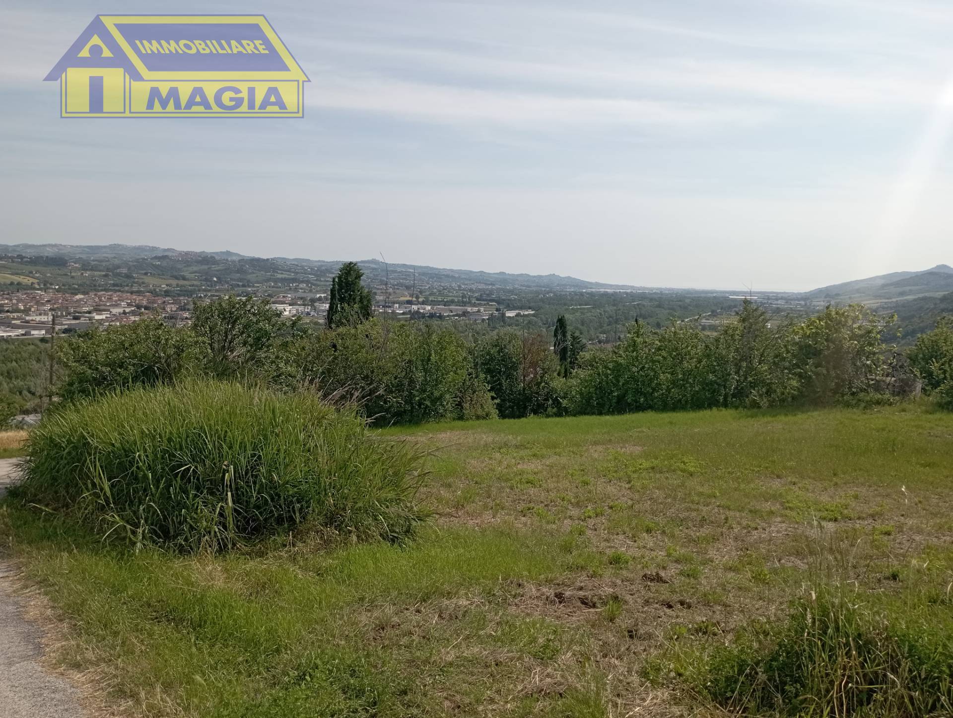 Terreno Agricolo in vendita a Ancarano