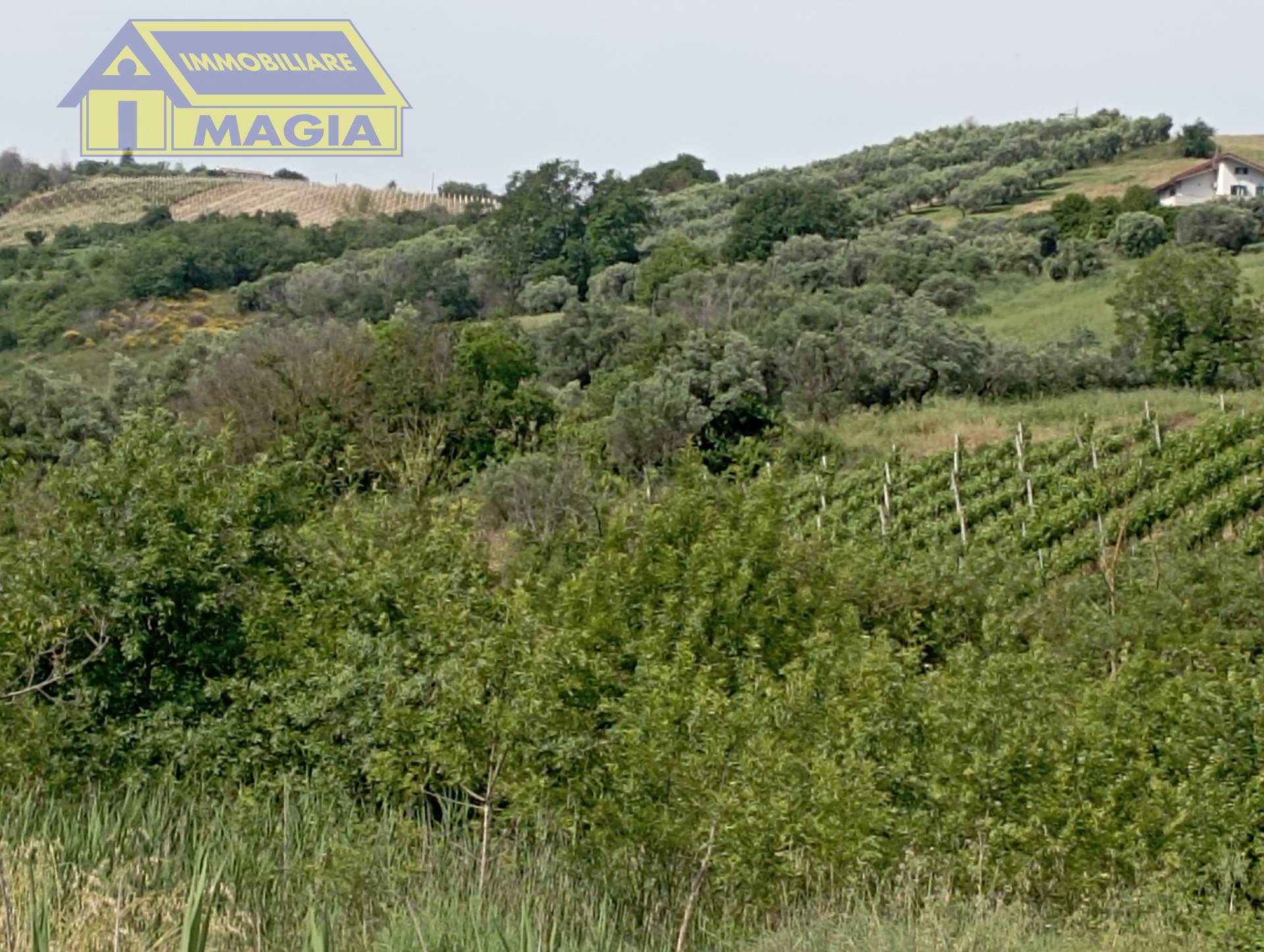 Terreno Agricolo in vendita a Ancarano