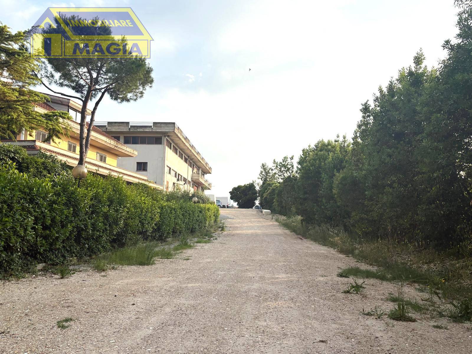 Capannone in affitto a Ancarano