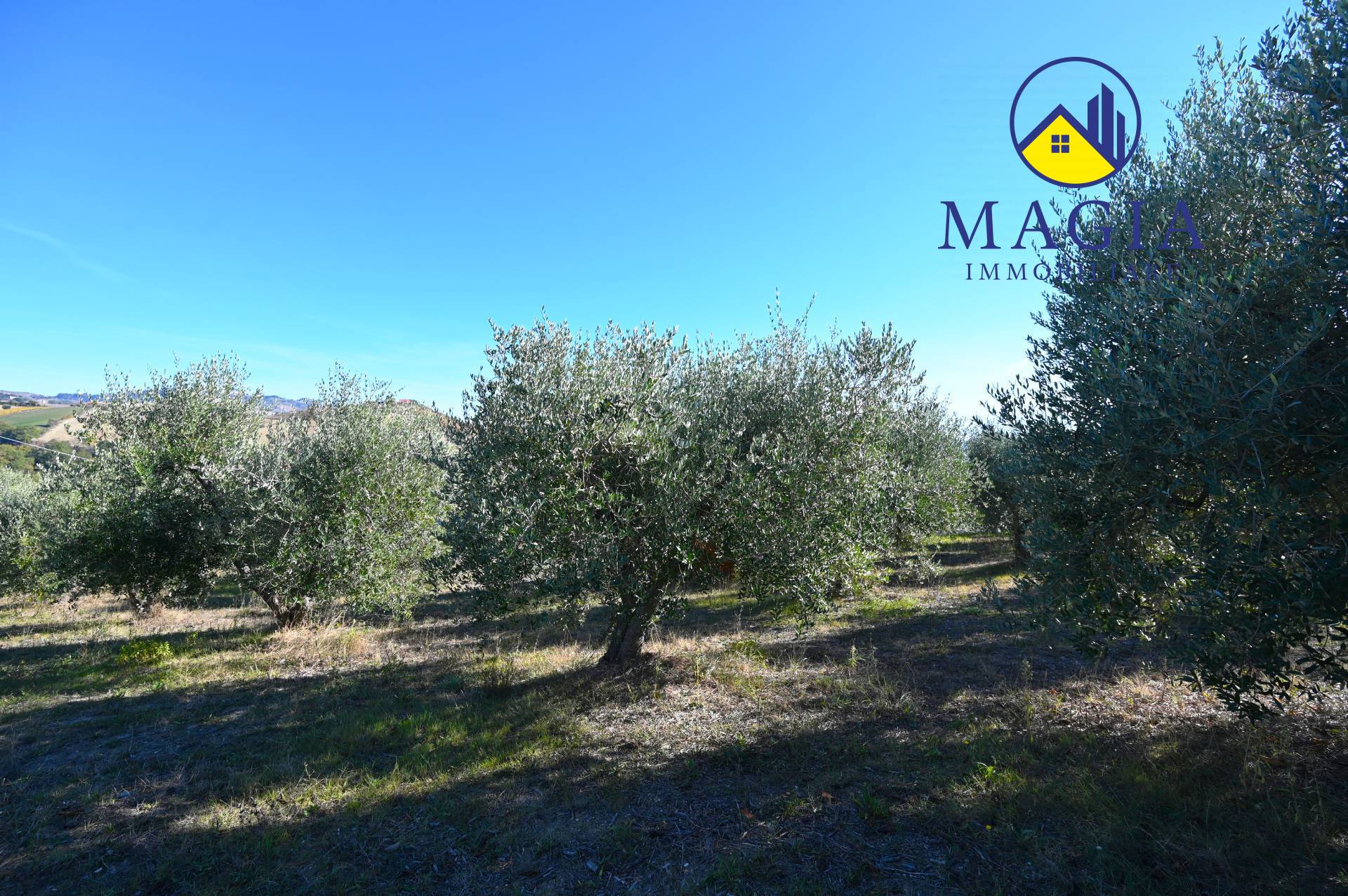 Casa Indipendente in vendita a Cossignano