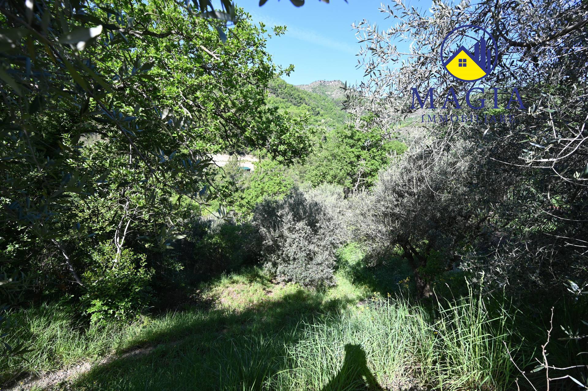 Terreno Agricolo in vendita a Ascoli Piceno