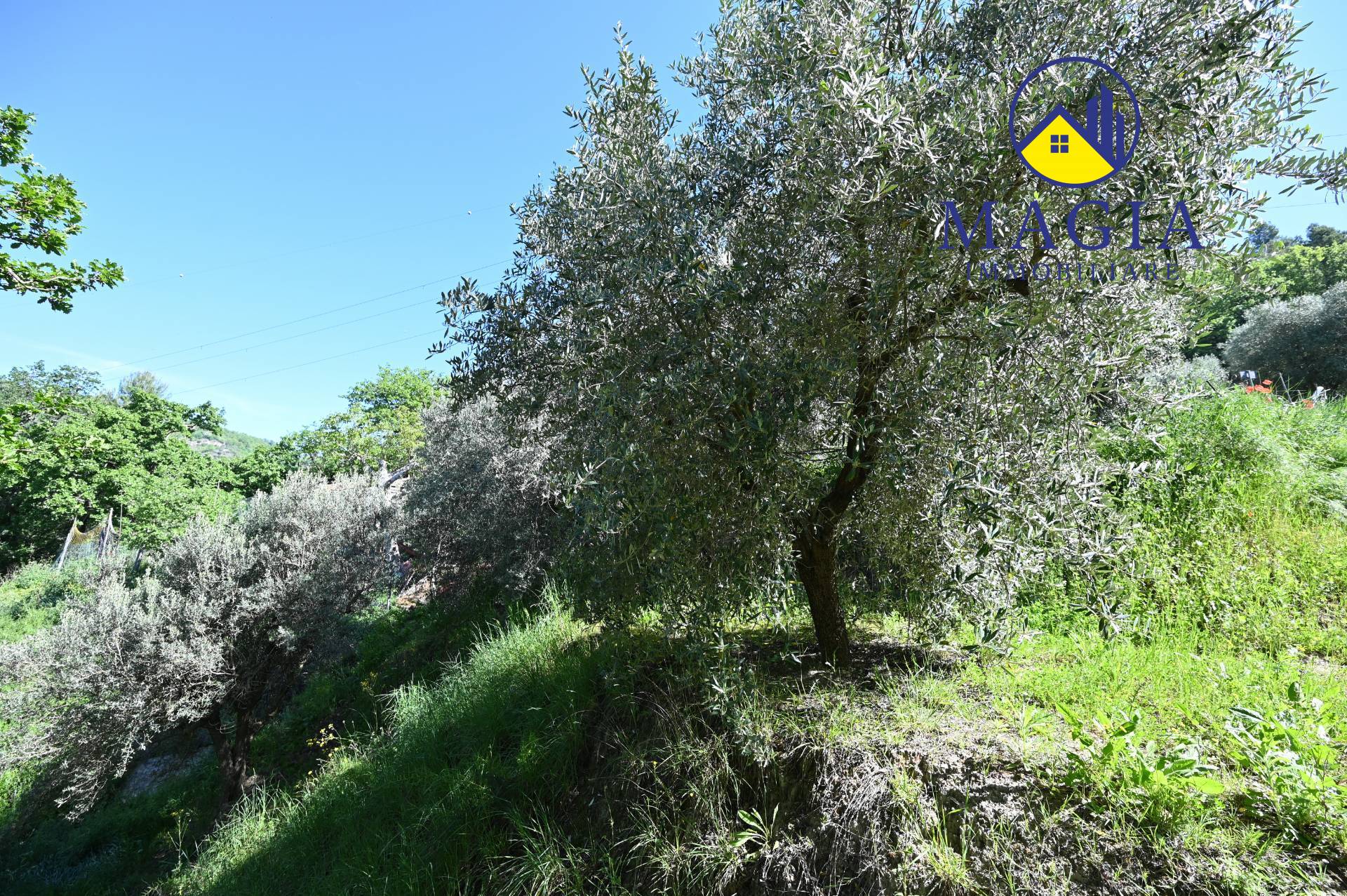 Terreno Agricolo in vendita a Ascoli Piceno