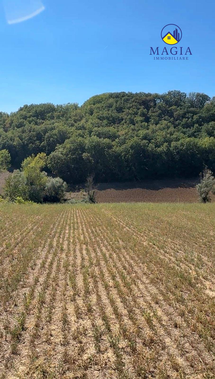 Terreno Agricolo in vendita a Controguerra