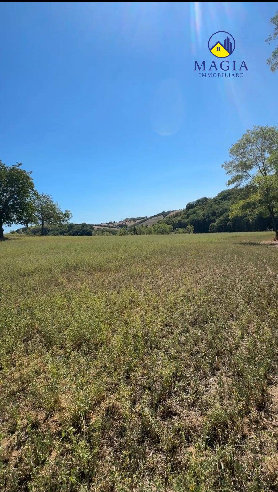 Terreno Agricolo in vendita a Controguerra