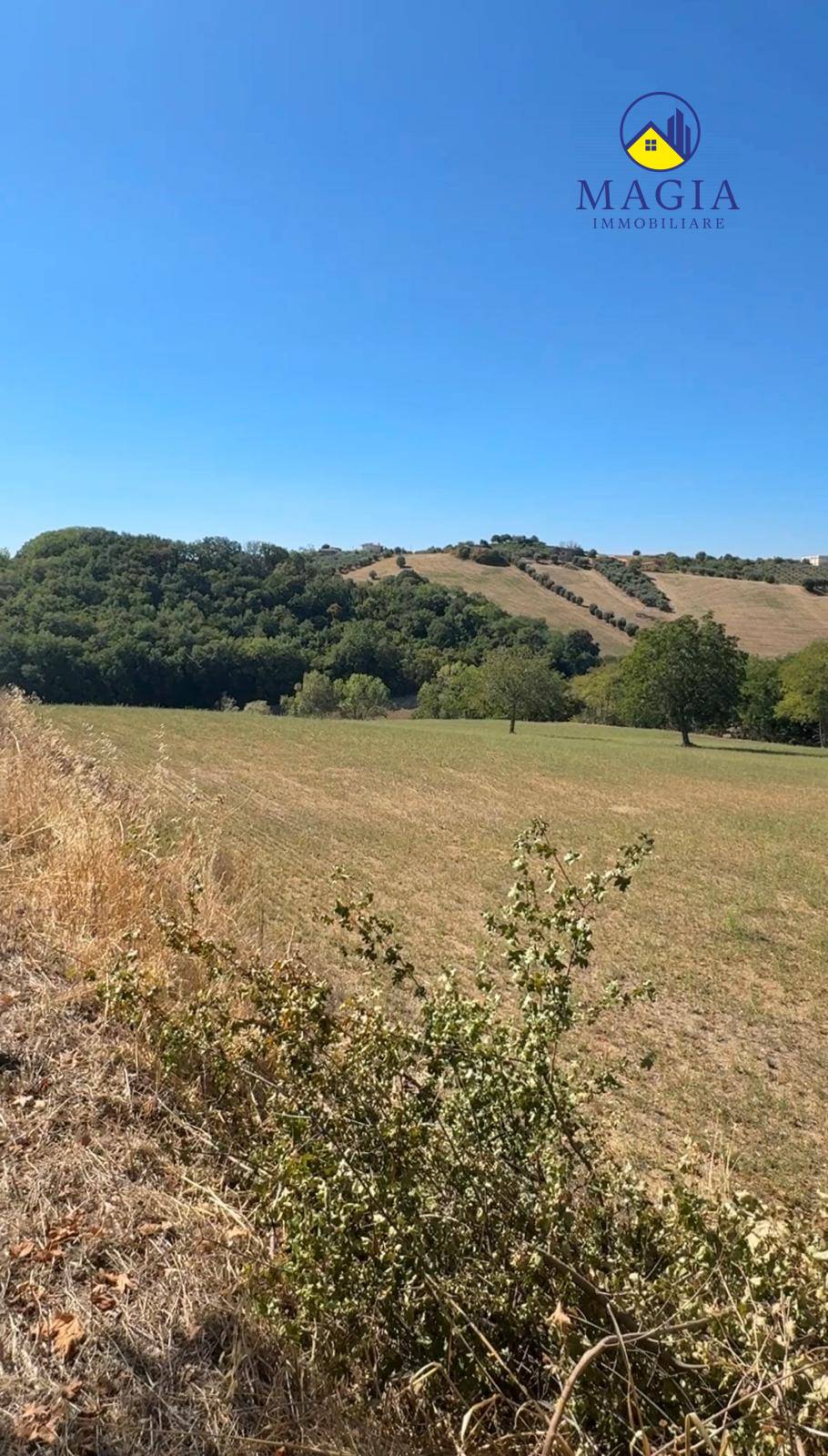 Terreno Agricolo in vendita a Controguerra